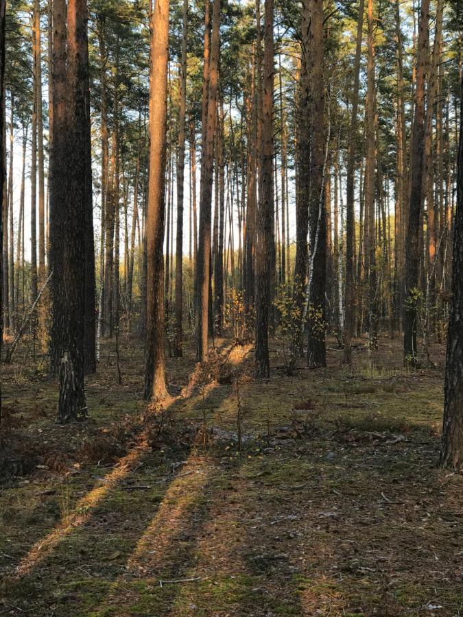 Диброва Dibrova  Zewnętrze zdjęcie