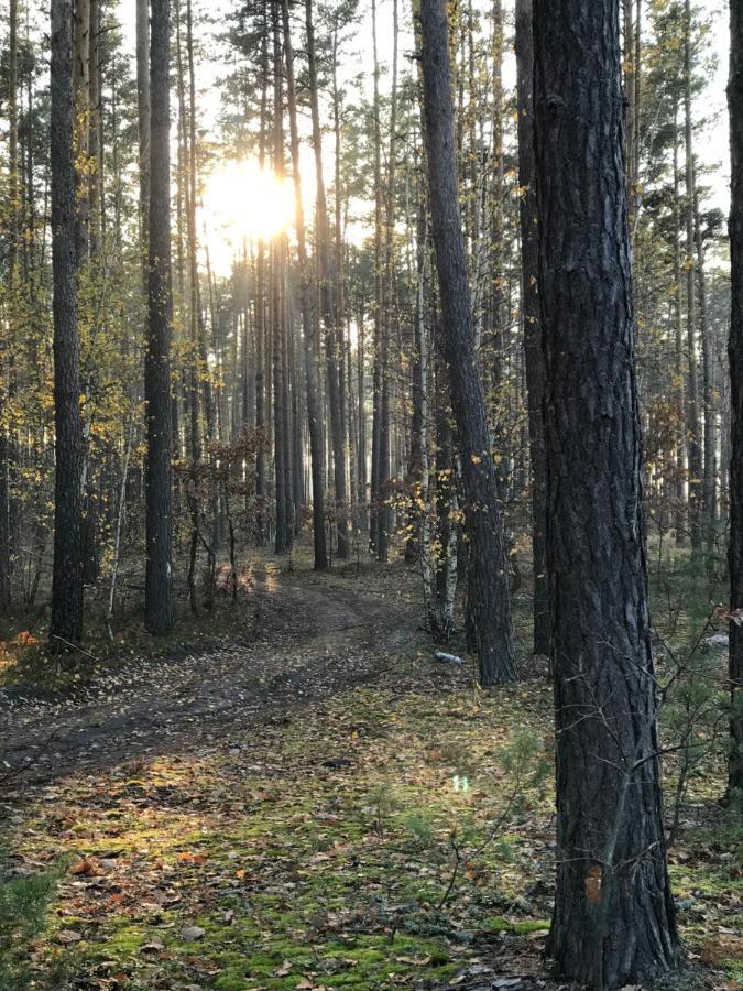Диброва Dibrova  Zewnętrze zdjęcie